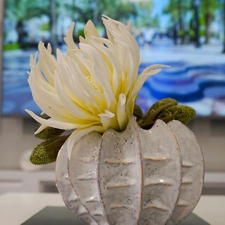 Stylish & Spacious Family Apartment Near Beach & Vibrant Historic Market アリカンテ エクステリア 写真